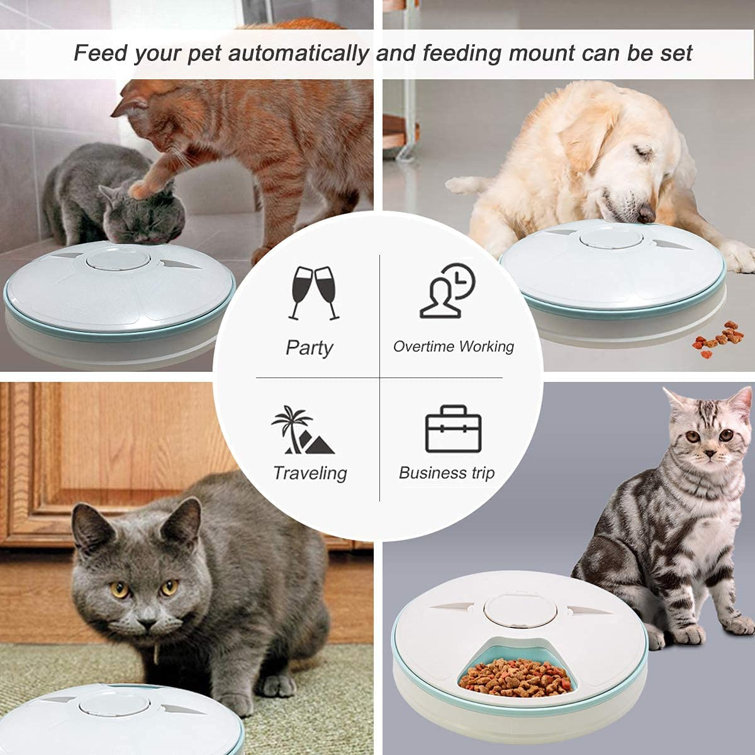 digital automatic cat feeder