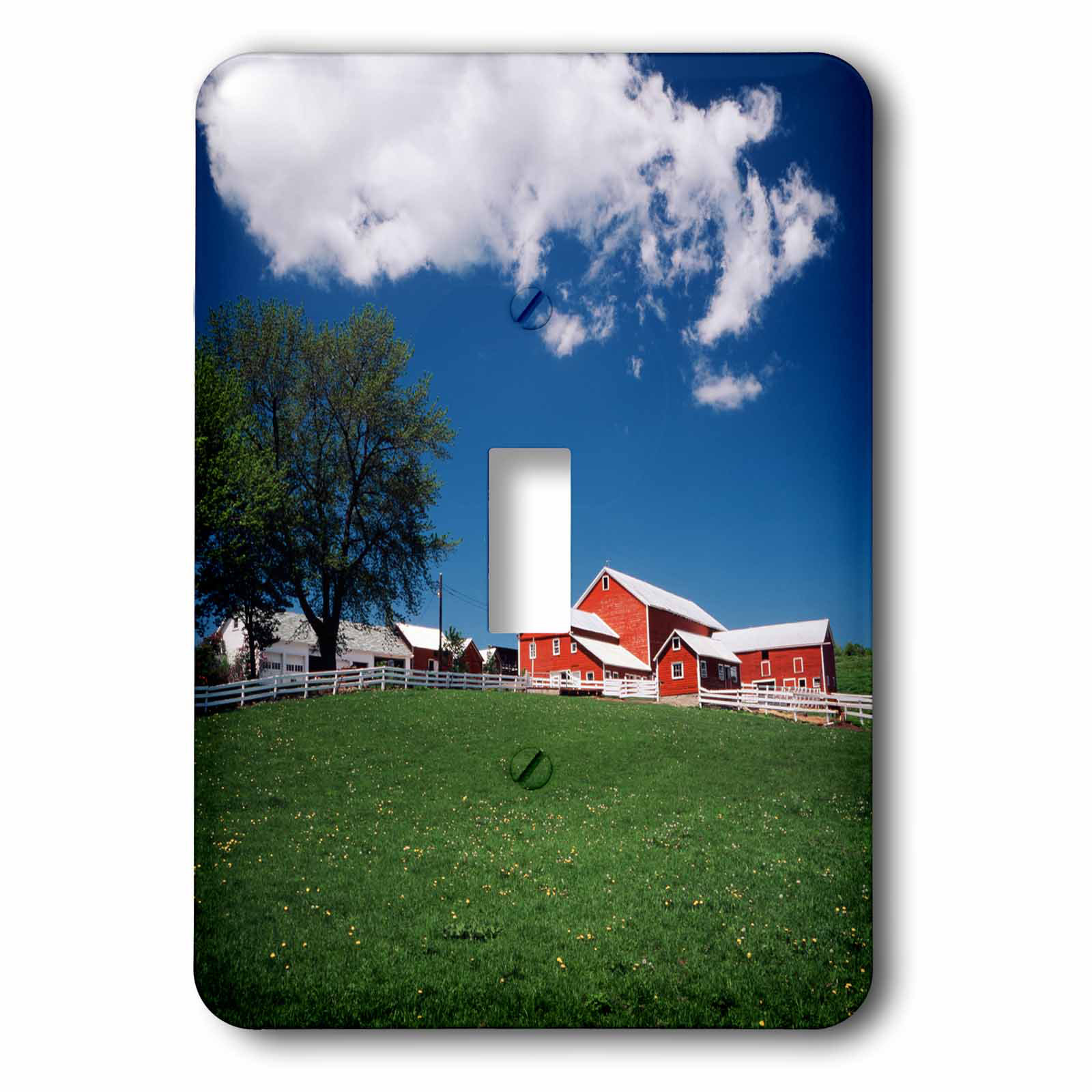 3drose Springs Farm 1 Gang Toggle Light Switch Wall Plate Wayfair