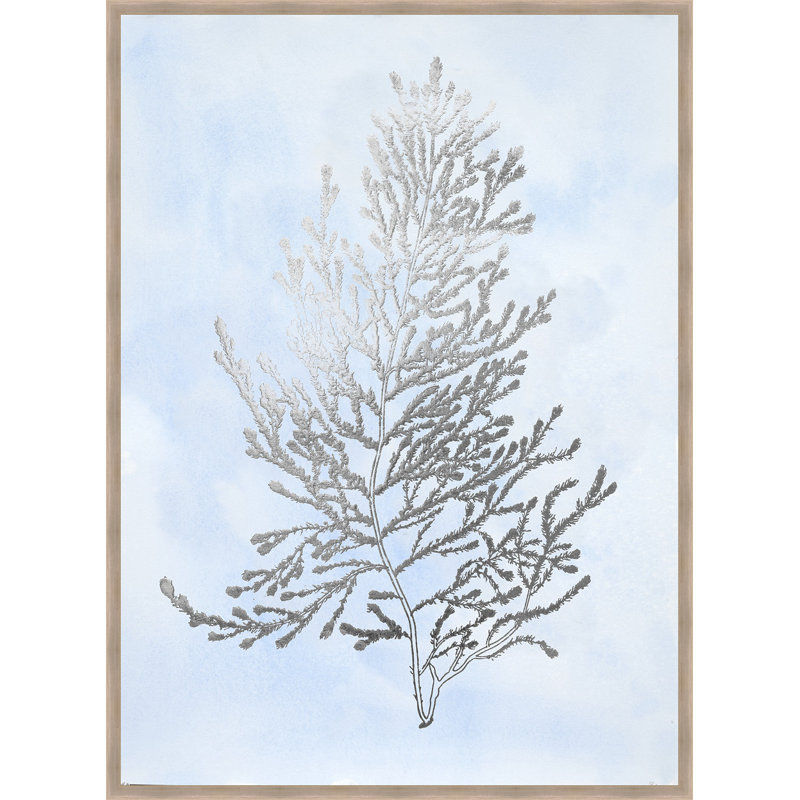 Ashton Wall Decor Llc Silver Foil Algae Iv Framed Graphic Art
