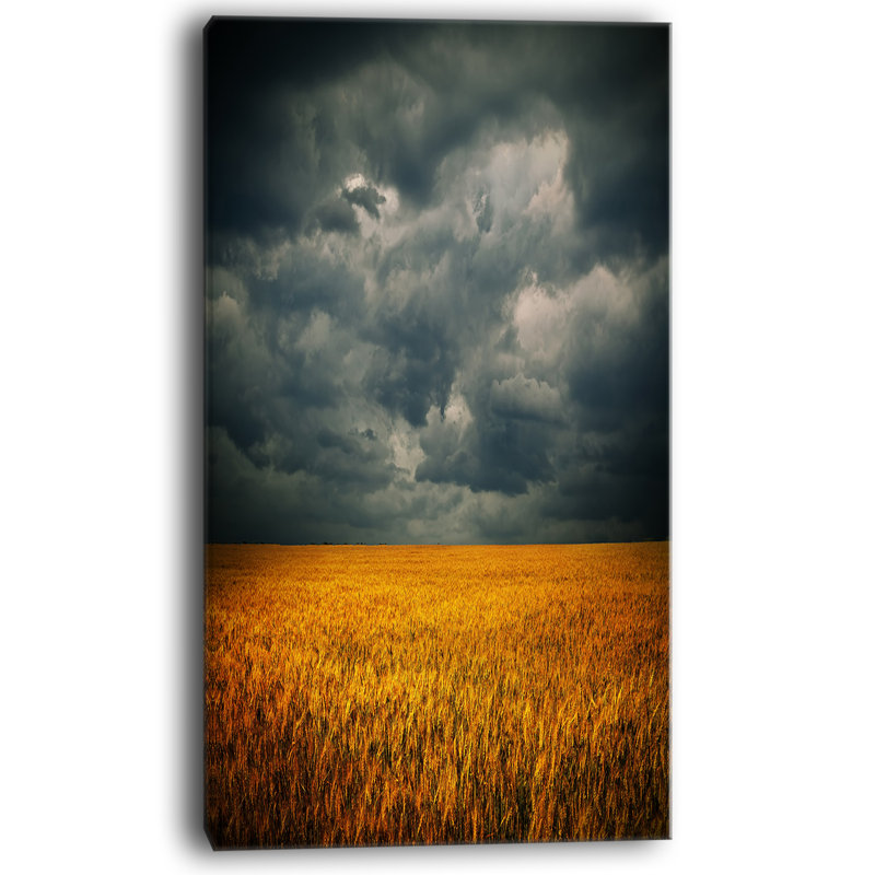 Designart Stormy Clouds Over Wheat Field Photographic Print On Wrapped Canvas Wayfair