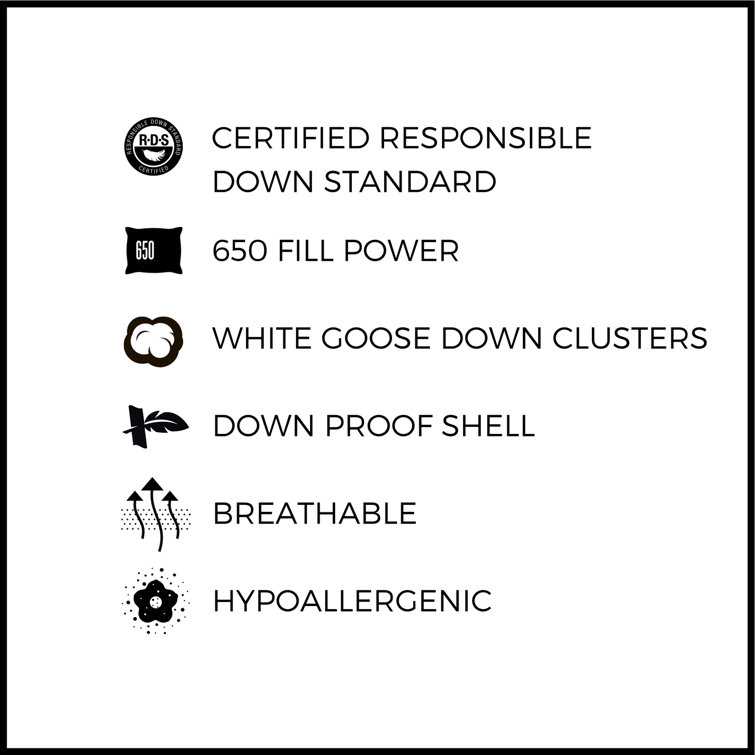 pillow guy down pillow