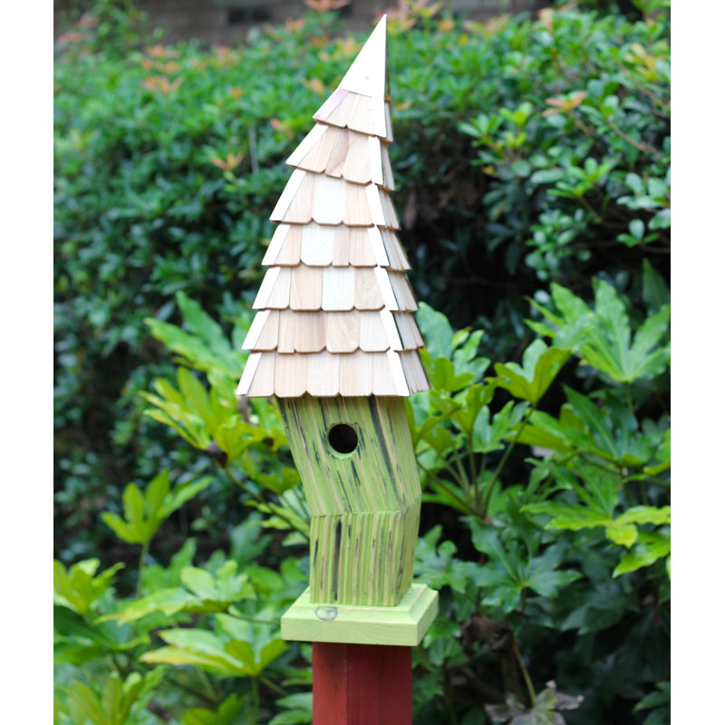 Heartwood Birdiwampus 30 In X 8 In 8 In Birdhouse Reviews Wayfair
