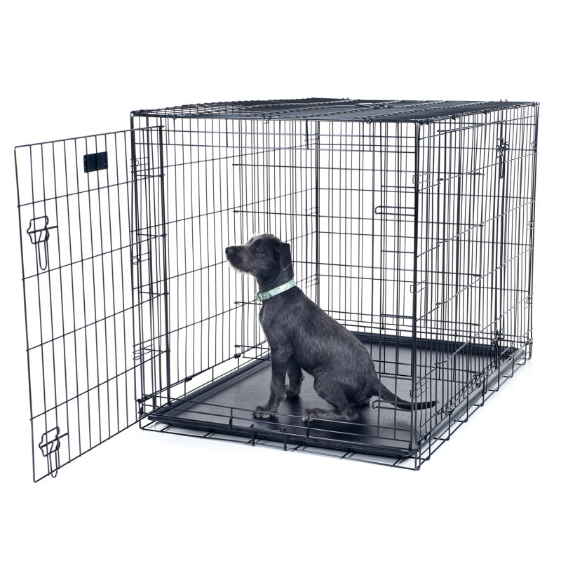 Tucker Murphy Pet Brianna Double Door Foldable Pet Crate Reviews