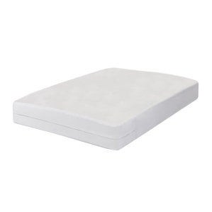 All in One Bed Bug Blocker Hypoallergenic Waterproof Mattress Protector by Alwyn Home