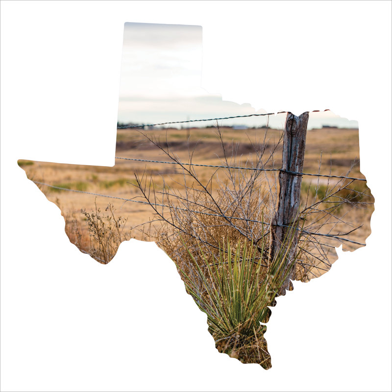 Millwood Pines Texas Silhouette Metal Laser Cut Wall Decor Wayfair
