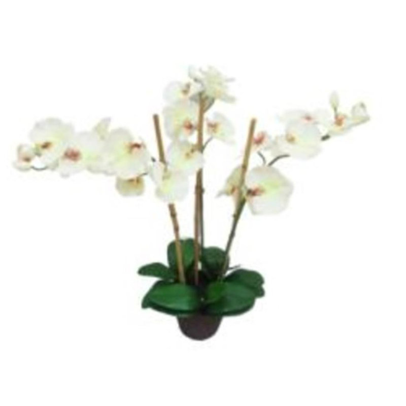 Northlight Three Stemmed Orchid 33 25 Floor Flowering Plant In Pot Wayfair