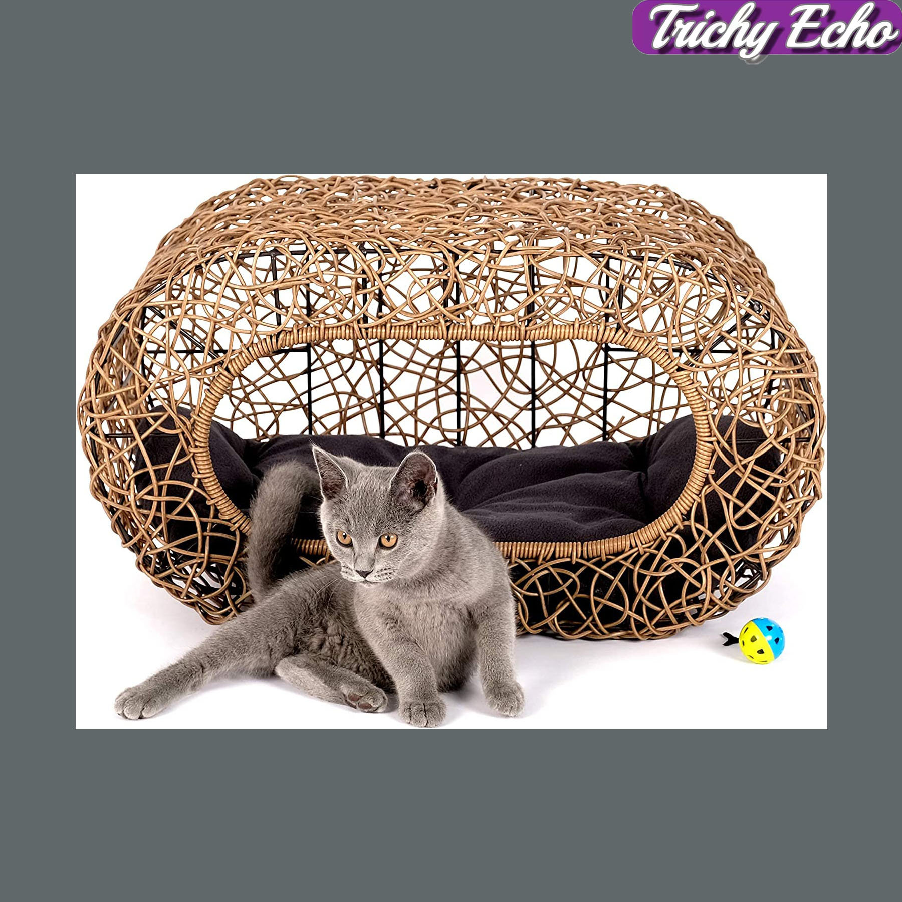 Trichy Echo Fun Stackable Cat Condo For Indoor Cats Interactive Play
