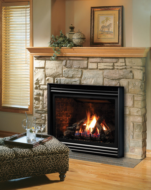 Propane+Fireplace+Insert.jpg