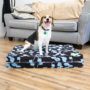 Natural Latex Orthopedic Dog Bed with Waterproof Encasement