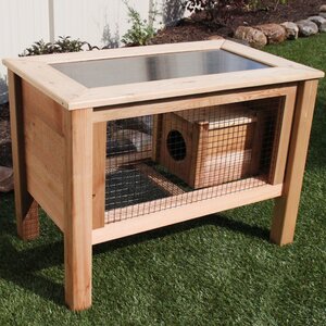 Rabbit Hutch