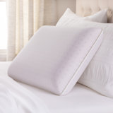 Coconut Scented Pillows Wayfair