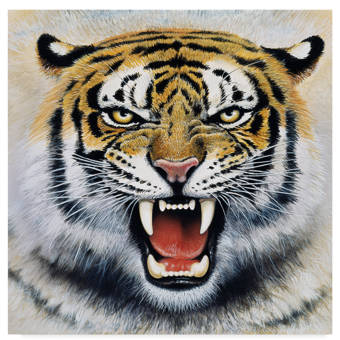 Trademark Art Tiger Portrait 2 Acrylic Painting Print On Wrapped