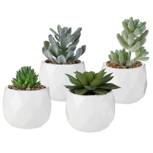 Artificial Succulents Plant With Ceramic Pot Mini Fake Ornament Home Decoration 