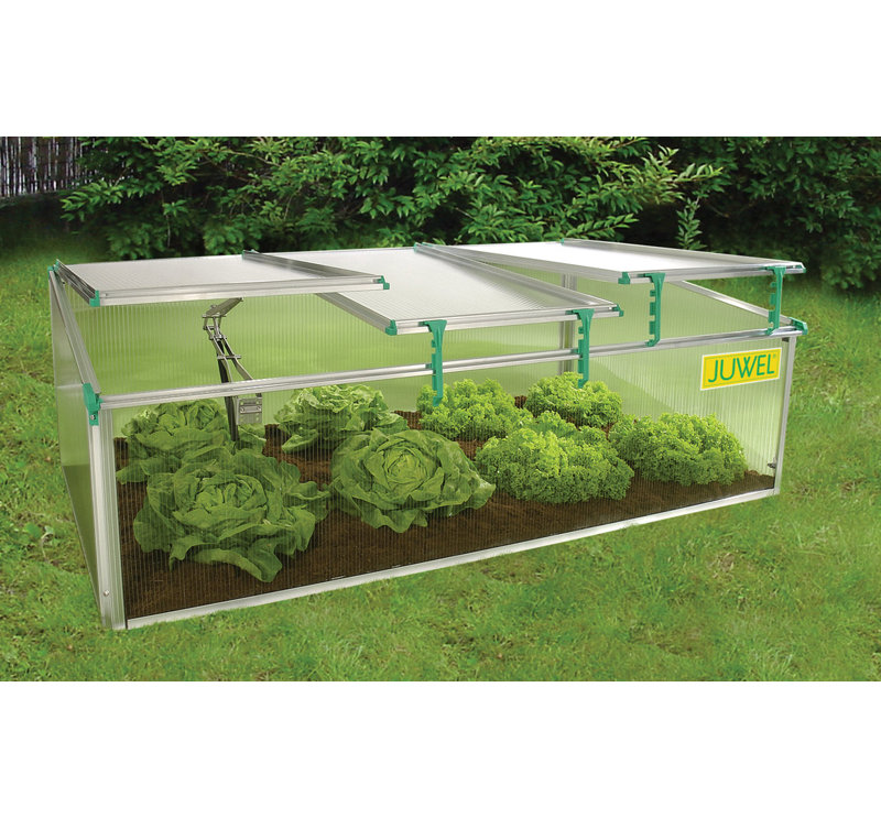 Juwel Biostar 2 6 Ft W X 4 92 Ft D Cold Frame Greenhouse Wayfair
