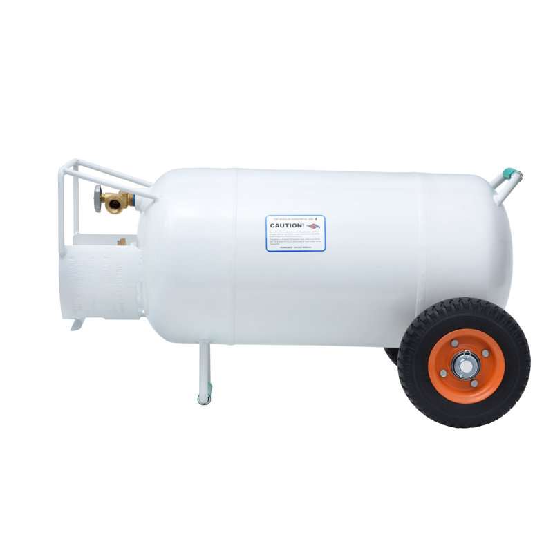 Flame King 40 Lbs Horizontal Vertical Propane Cylinder Pol Valve Wayfair