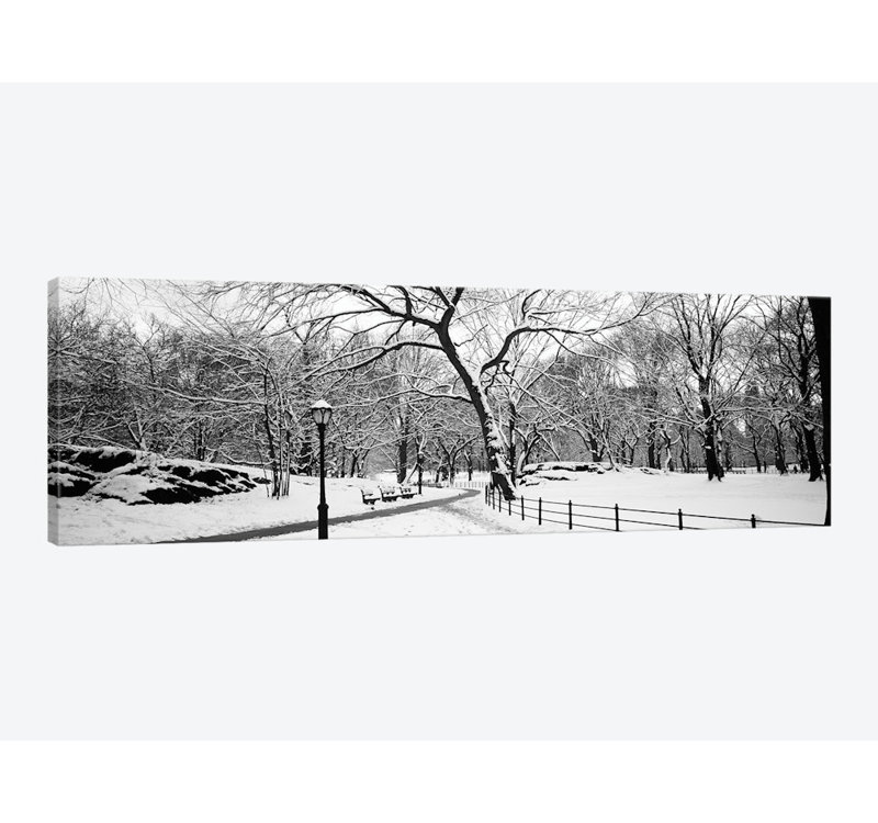 East Urban Home Bare Trees During Winter In A Park Central Park