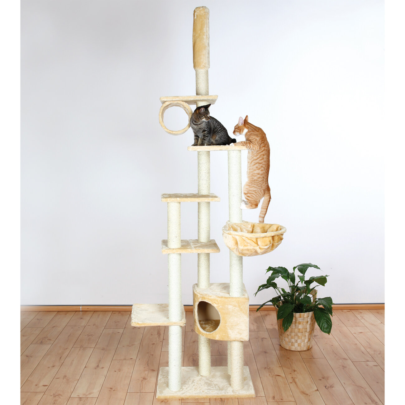 Maddie 106 Madrid Cat Tree