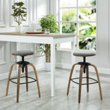 Kluesner Adjustable Height Swivel Bar Stool (Set of 2) by Williston Forge