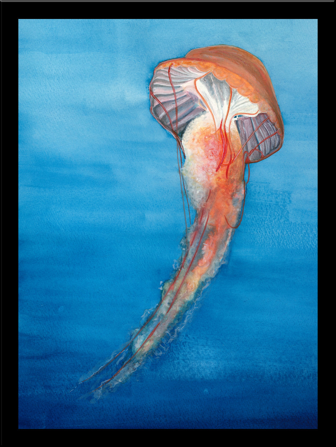 Highland Dunes Jellyfish Framed Oil Painting Print Wayfair