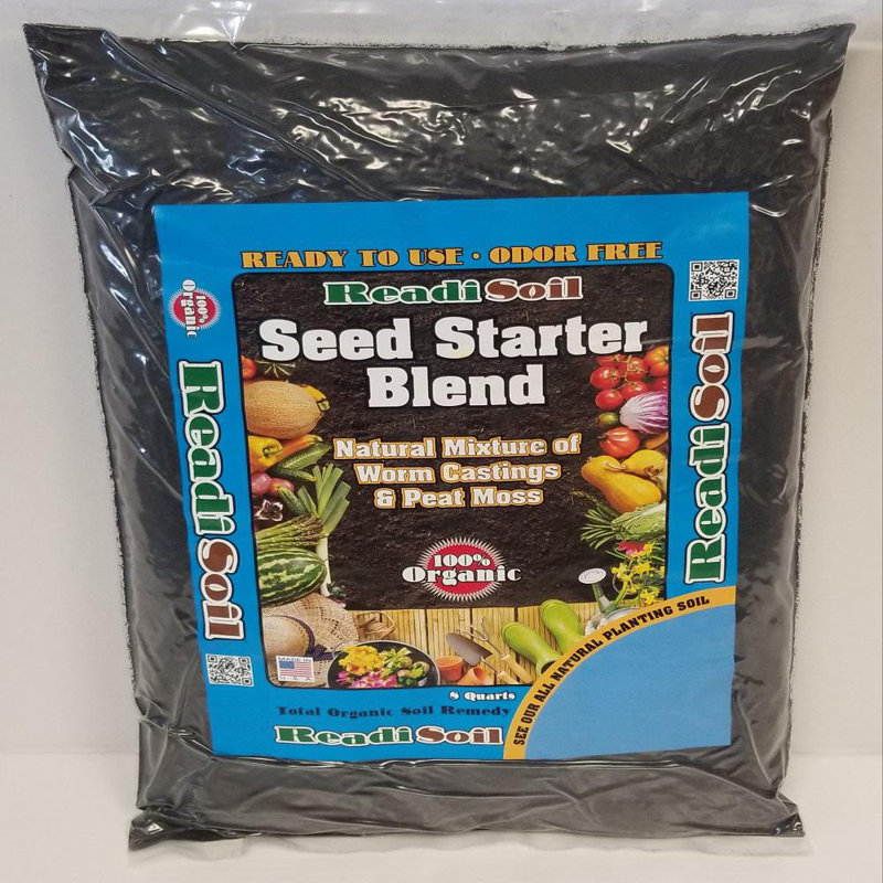 100 Seeds Tidy With Red Berries Now just in Garden Soil Sow