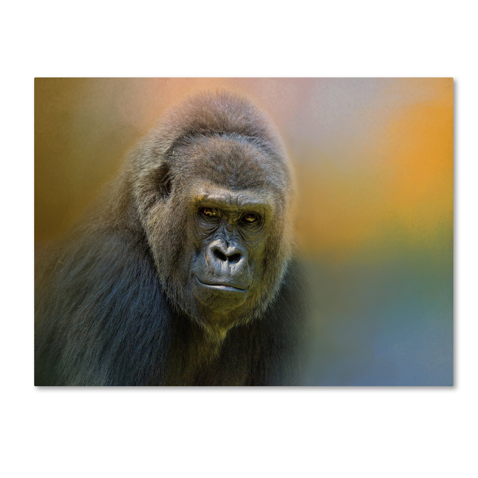 gorilla wedge pillow