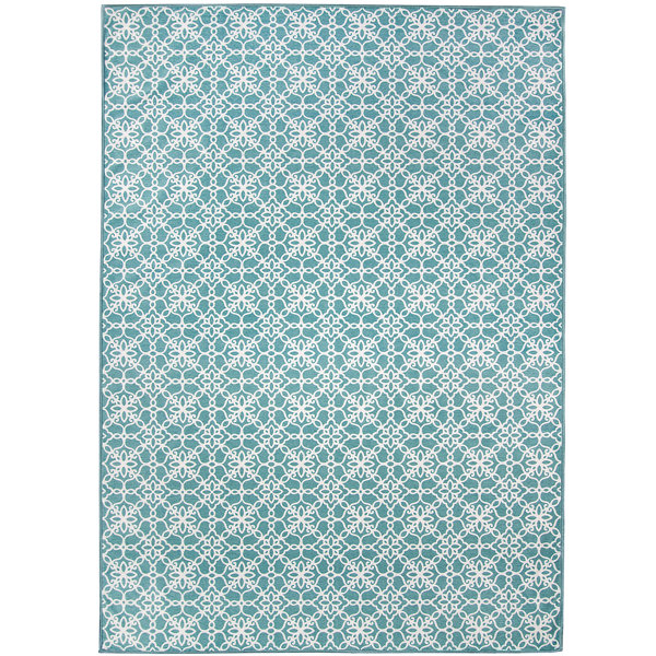 Hand Woven Aqua Blue White Indoor Outdoor Area Rug