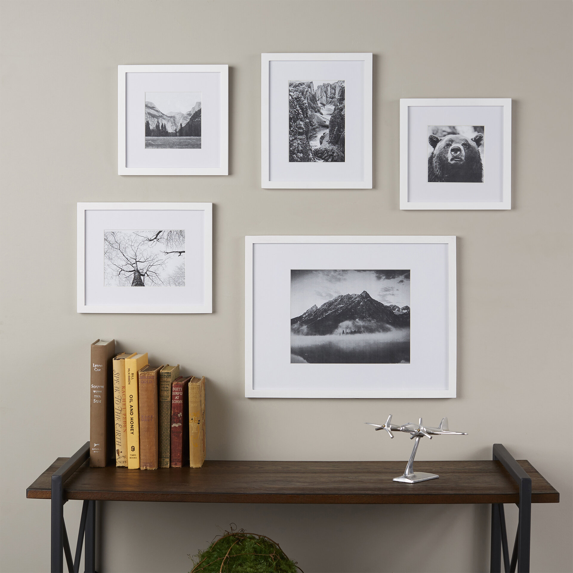 Barbara 5 Piece Picture Frame Set Reviews