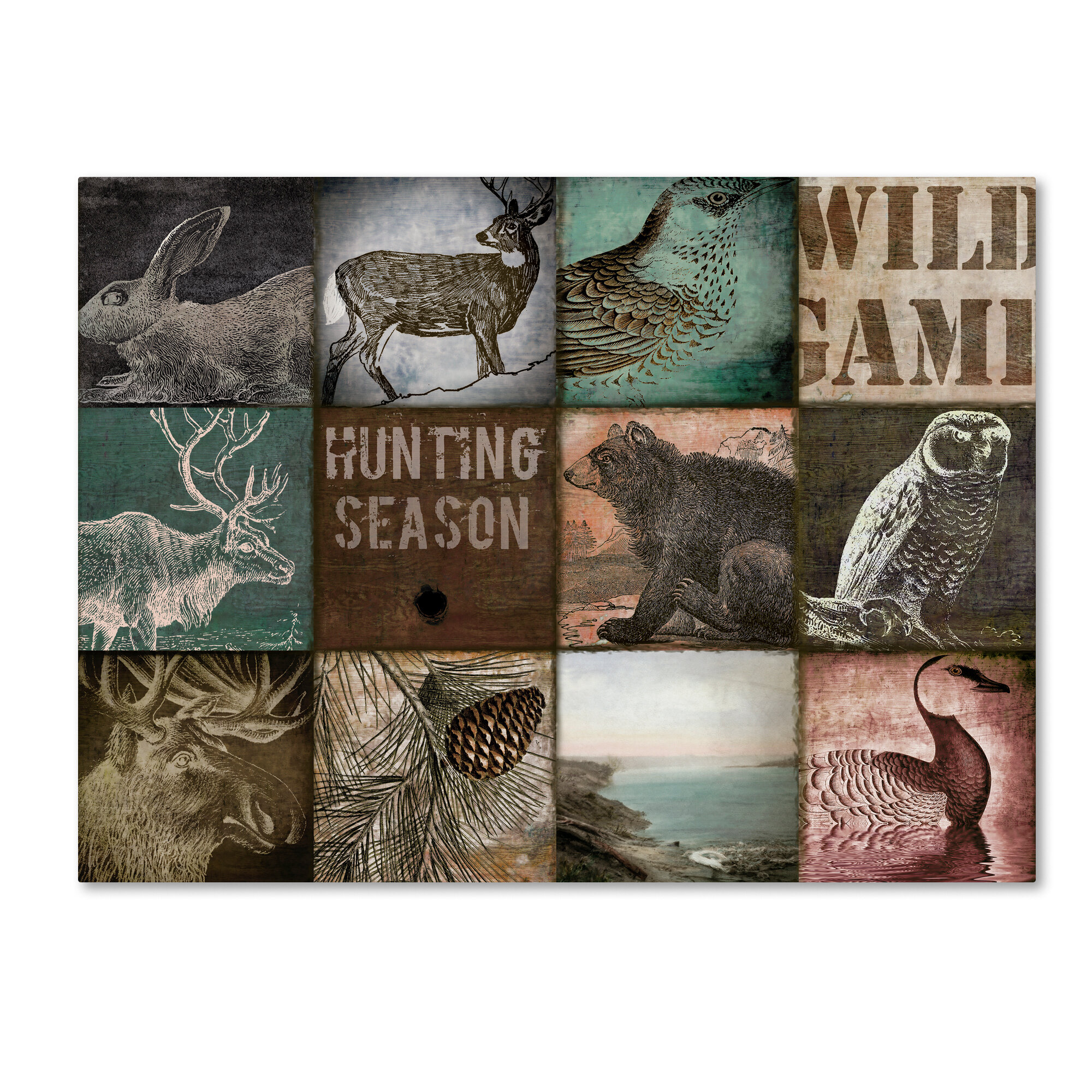 Trademark Art Cabelas By Colour Bakery Graphic Art On Wrapped Canvas Wayfairca