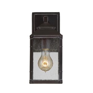 Knushevia 1-Light Outdoor Wall Lantern