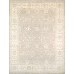 Ferehan Hand-Knotted Light Gray/Ivory Area Rug