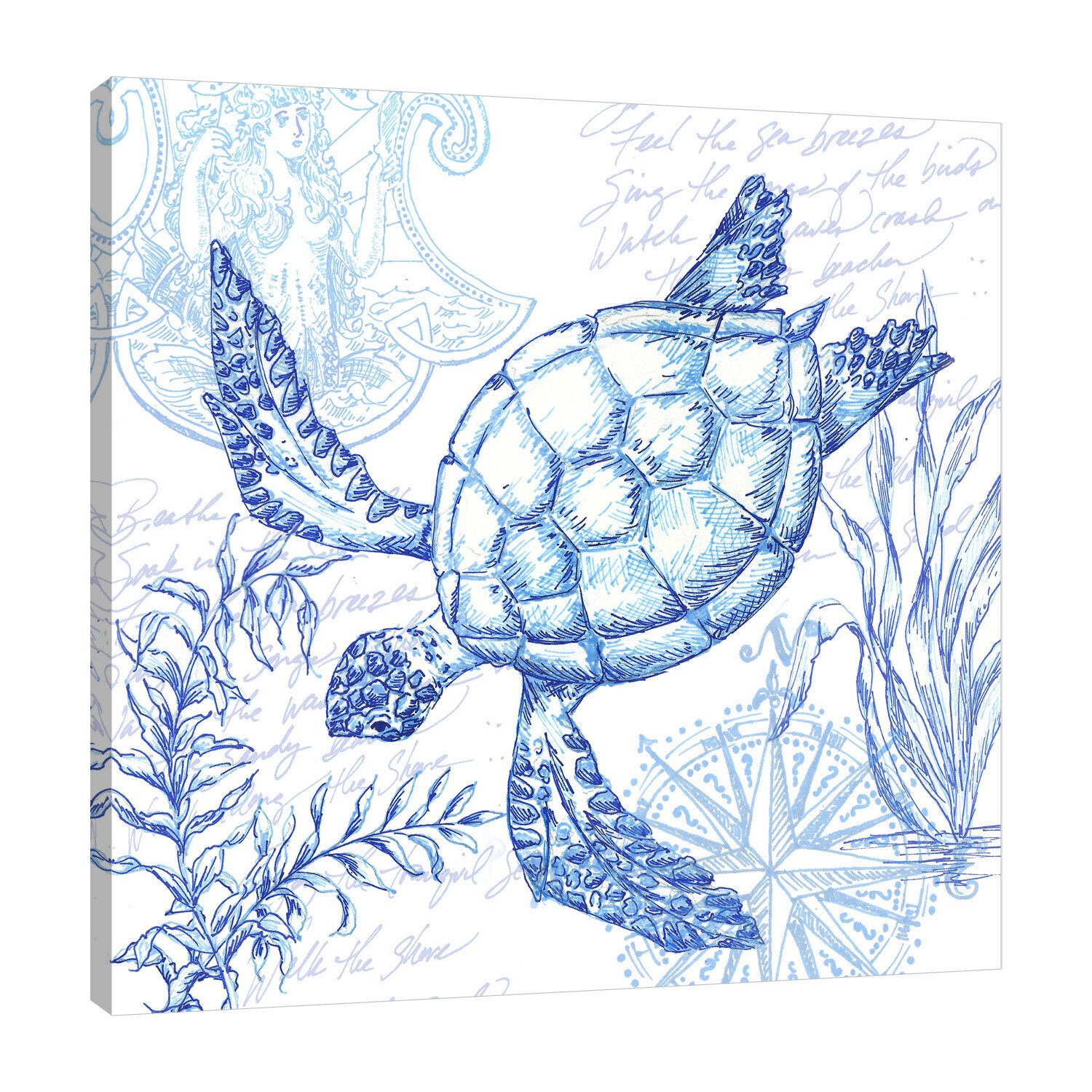 Bay Isle Home Coastal Sketch: Turtle - Wrapped Canvas Print | Wayfair