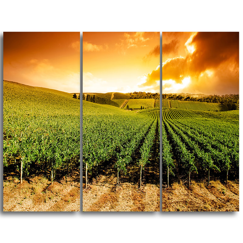 Designart Sunset Vineyard Panorama 3 Piece Graphic Art On Wrapped Canvas Set Wayfair