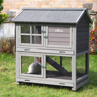 Tucker Murphy Pet Atkins Animal Hutch With Ramp Wayfair