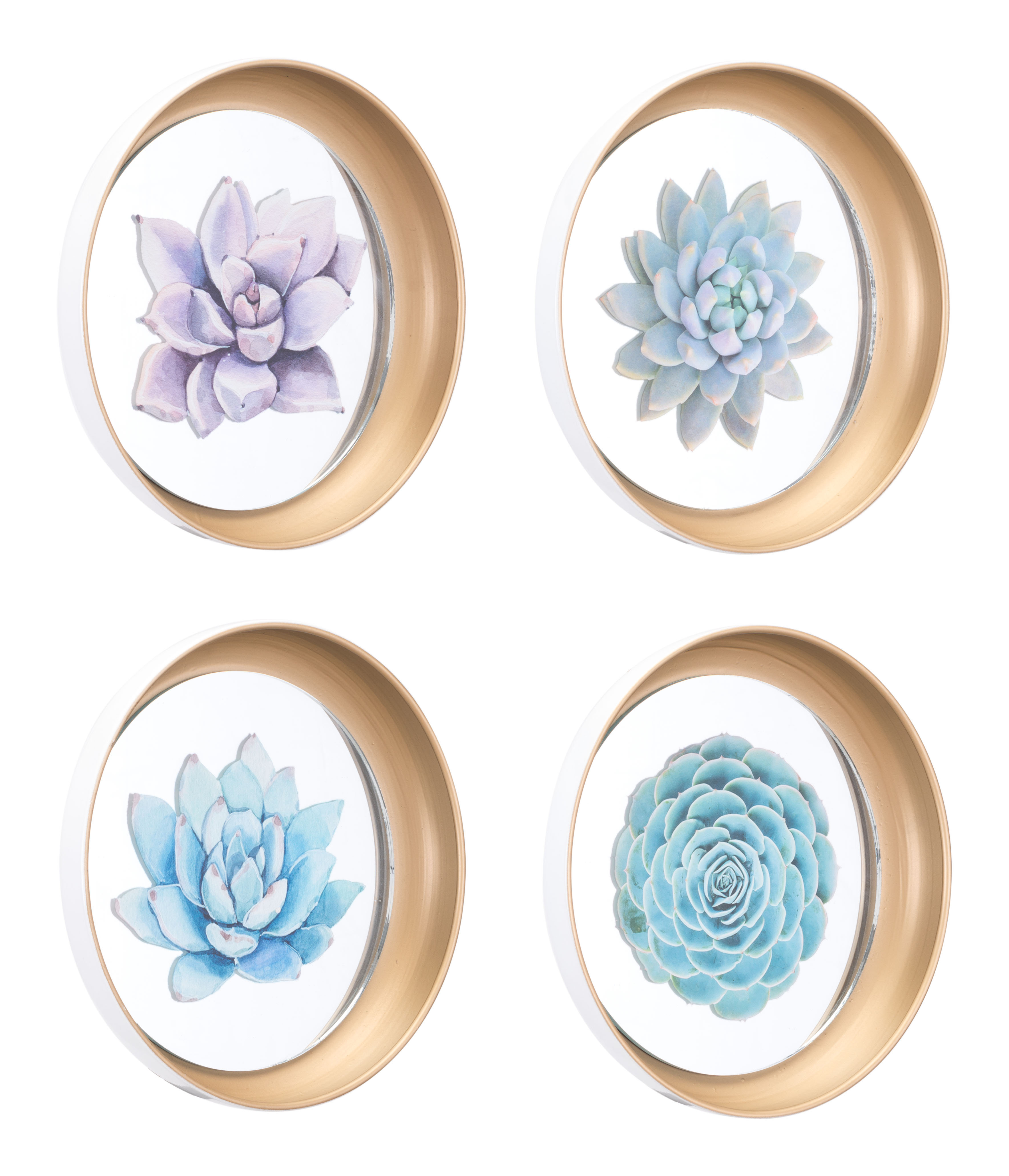 4 Piece Plates Wall Décor Set Joss Main