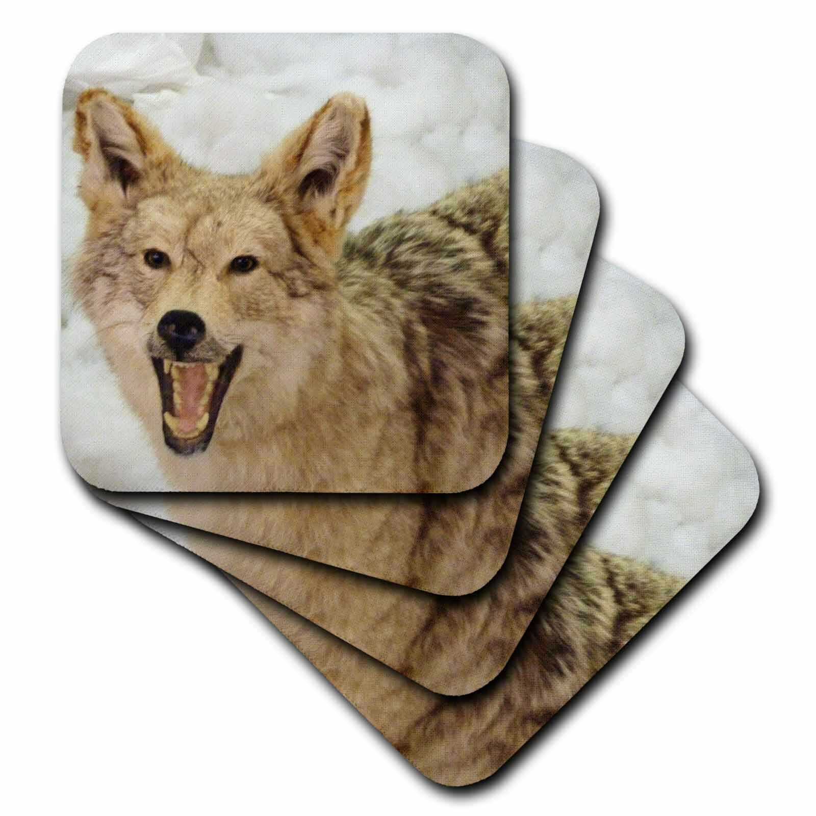 Set of 4 3dRose cst_51794_3 A Closeup of a Wolf Ceramic Tile Coasters 