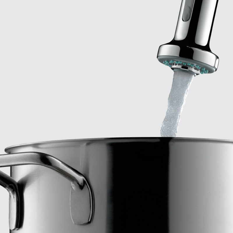 Hansgrohe Talis S Pull Down Single Handle Kitchen Faucet Reviews