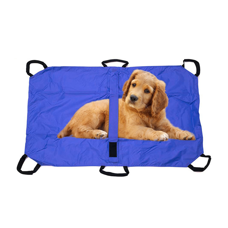 dog stretcher bed