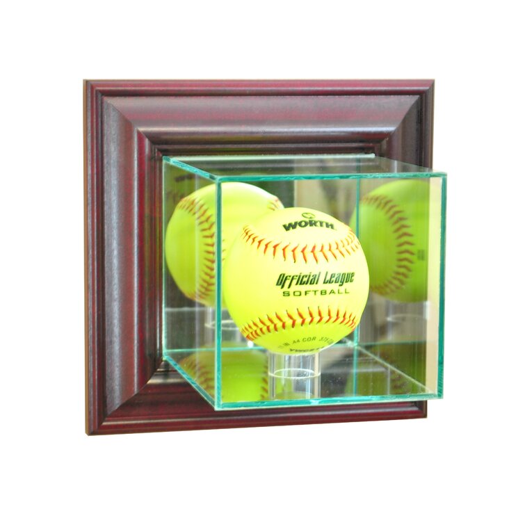 Acrylic Cricket Ball Display Case with a Wooden Base 