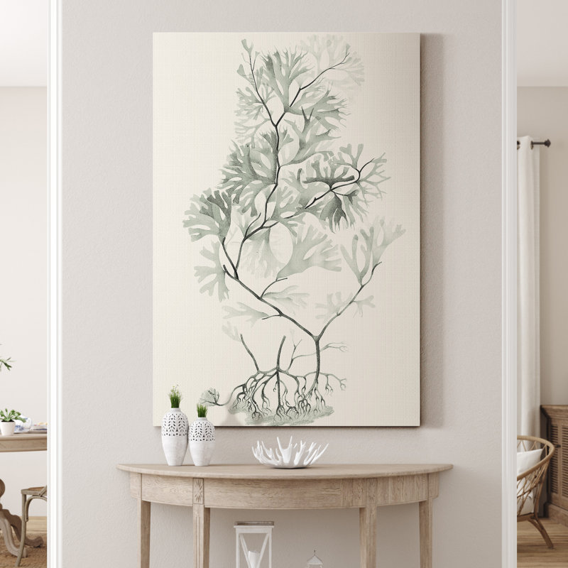 'Sage Green Seaweed VI' - Wrapped Canvas Painting Print Size: 20" H x 16" W x 1" D