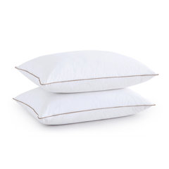 standard down pillows