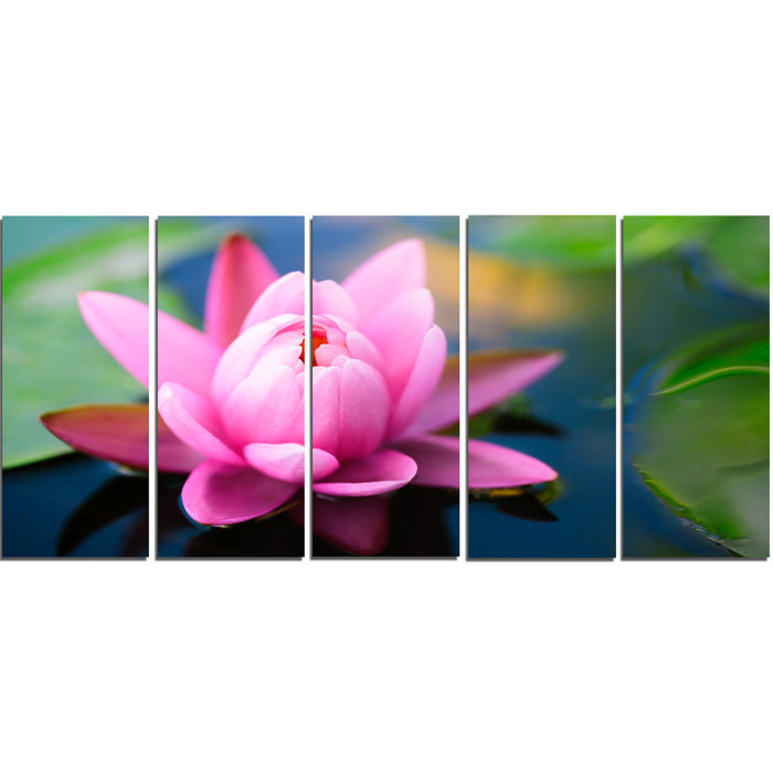 Large Lotus Flower In The Pond 5 Piece Photographic Print On Wrapped Canvas Set