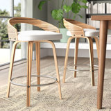 Wright Bar & Counter Swivel Stool (Set of 2) by Langley Street™