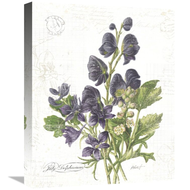 Global Gallery Katie Pertiet July Delphinium on White Giclee Stretched Canvas Artwork 16 x 20