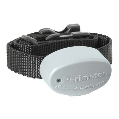 shock collar perimeter fence