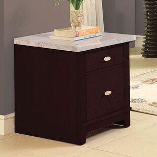 Murphy 2 Drawer Accent Chest By A&J Homes Studio