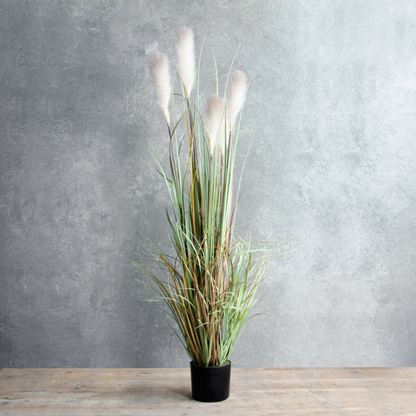 The Seasonal Aisle Artificial Pampas Grass in Pot Wayfair.co.uk