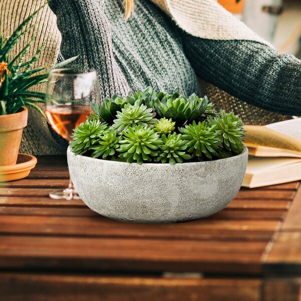 Artificial Succulent Plants in Large Grey Cement & Glass Pot Kitchen Bathroom 