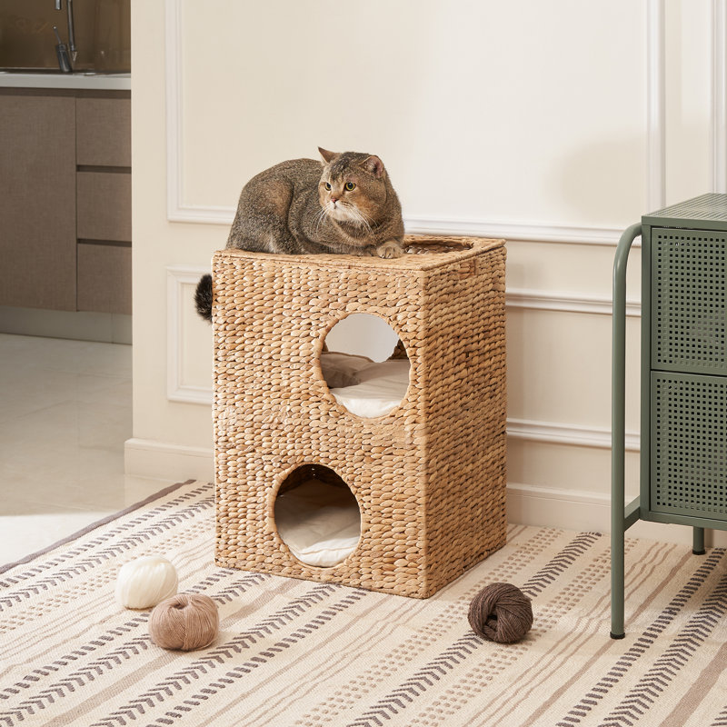portable cat house