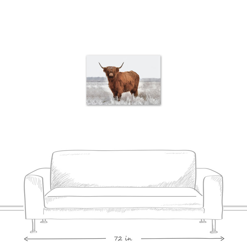 Hairy Highland Cow In Gray Field Wrapped Canvas Painting Print