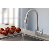 Farmhouse Rustic High Flow Rate Kitchen Faucets Birch Lane